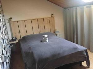 La Magie entre deux lacs
