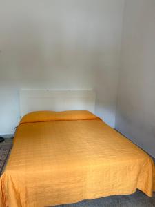 Il giardino degli aranci