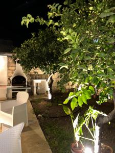 Il giardino degli aranci