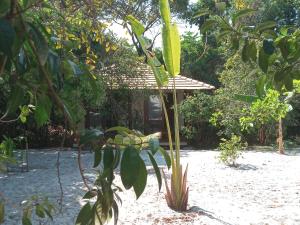 Chalés na Vila Natholi