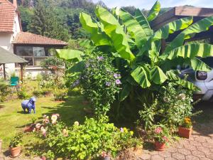 Maisons de vacances Gite Hecker Alsace : photos des chambres