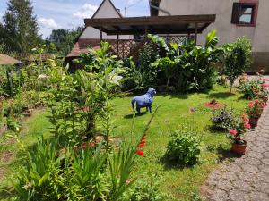 Maisons de vacances Gite Hecker Alsace : photos des chambres