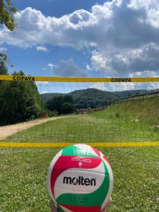 Niedźwiedzi Zakątek