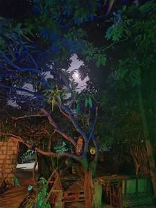 Akkis Hostel