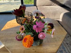 Marina Strandbad Chalet Aan het Strand mit Zaun Haus Nr 133