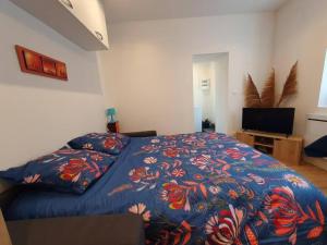 Appart'hotel, IKIMO 5 appartements entiers a votre disposition au choix : photos des chambres