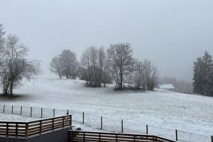 Appartements Grand Duplex Lumineux - 3 chambres : photos des chambres