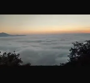 Chintoli Farms - Bhatrojkhan