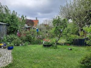 Kleine Lieblingsinsel auf dem Holm
