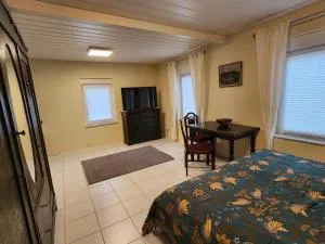 Schönes Studio mit Küche, frisch renoviert - Essingen