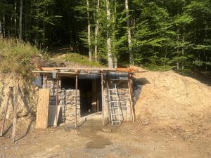 Pensiune Montana Casa Din Padure