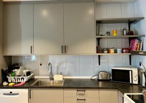 Stor Takvåning i centrum