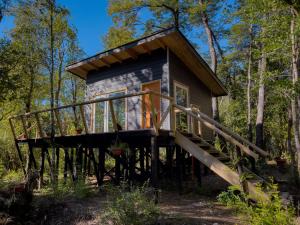 Hermoso Lodge Inserto en Bosque Andino Pucón