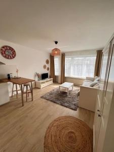 Flat moderne et lumineux