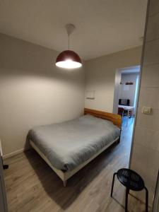 Appartements Appartement au coeurs d-Aurillac : photos des chambres