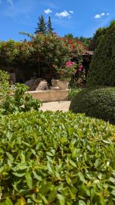 B&B / Chambres d'hotes Le Vieux Castel : photos des chambres