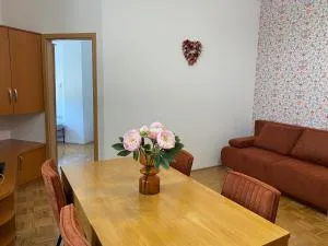 Apartma ROGATEC 2 - Rogatec