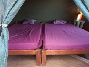 Botterboom - Private Karoo Campsite