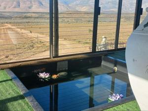 Windy Rose Farmhouse