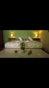 Arenal Hostel La Catarata - 福尔图纳