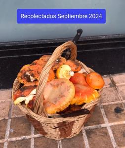 El descanso de las hadas