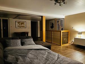 Maisons de vacances Le Trente a Turckheim : photos des chambres