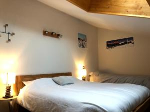 Appartements Grand Duplex Lumineux - 3 chambres : photos des chambres