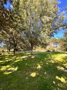 La bergerie des Landes