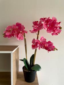 Appartements Loftimeet : photos des chambres