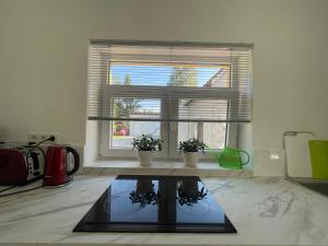 Appartement mit 2 Schlafzimmern und Terrasse