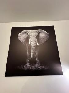 Appartements l-elegant centrale : photos des chambres