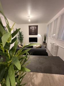 Appartements l-elegant centrale : photos des chambres