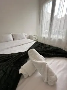 l'élégant centrale - Saint-Genet-Lerpt