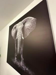 Appartements l-elegant centrale : photos des chambres
