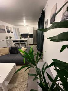 Appartements l-elegant centrale : photos des chambres