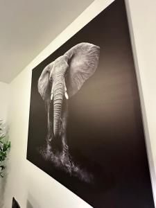 Appartements l-elegant centrale : photos des chambres
