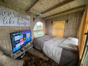 Casa del Arbol Feel Good