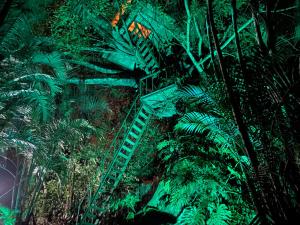 Casa del Arbol Feel Good