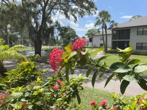 Florida Palms Heaven near IMG academy & beaches
