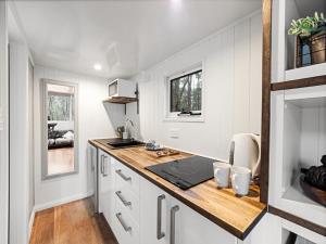 Luxury Tiny Homes in the Forest