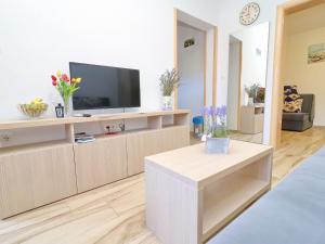 Seaside Apartments Hrka - Standard One Bedroom Apartment with Terrace and Sea View 2