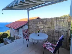 Seaside Apartments Hrka - Standard One Bedroom Apartment with Terrace and Sea View 2 - Borje