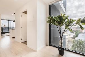 Sunlit & Sleek Condo in Lively St Kilda