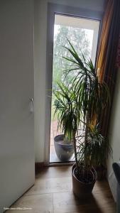 Appartements Appartement avec jardin a Saint Jean d-Illac : photos des chambres