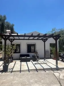 Farmhouse surrounded by centenary olive trees - Olías