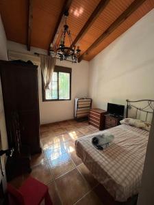 Farmhouse surrounded by centenary olive trees