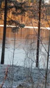 Riverside studio A 4, sauna