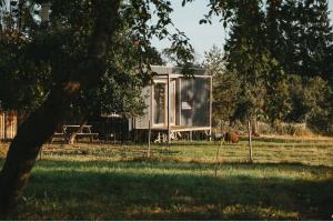 Tiny house v ohradě