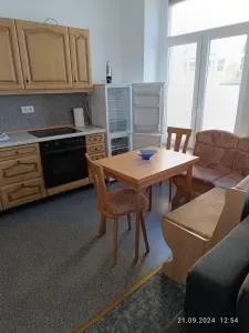 Wohnen-in-der-Uni-Silber-und-Welterbestadt-Freiberg-Whg-1 - 希尔伯斯多夫