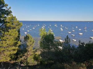 Havre de paix en rez-de-jardin pour 4 personnes